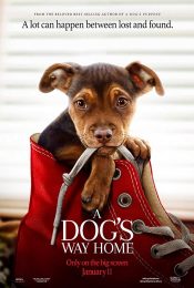 A Dog’s Way Home (2019) เพื่อนรักผจญภัยสี่ร้อยไมล์